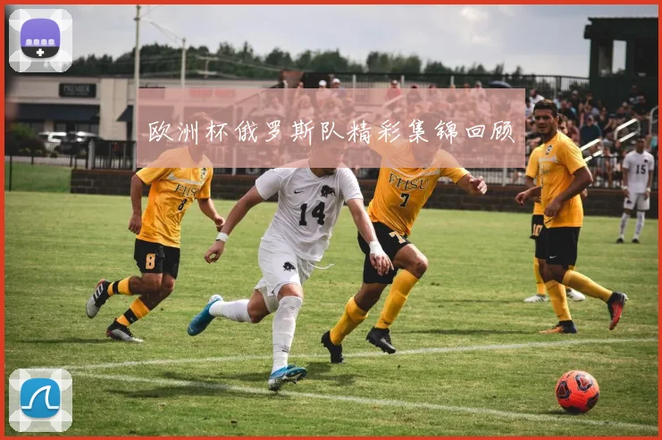 欧洲杯俄罗斯队精彩集锦回顾